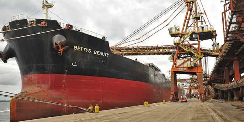 A soja foi o carro-chefe da alta, com mais de 11,4 milhões de toneladas exportadas ao longo do ano /Foto: Divulgação APPA