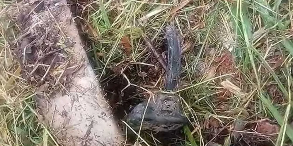 Equipamento foi achado por funcionário que fazia roçada no local