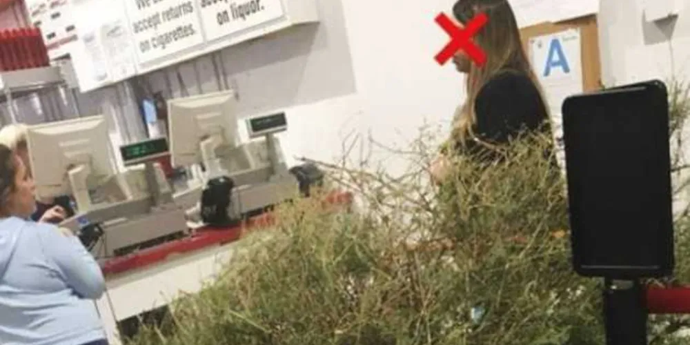 Mulher que pediu reembolso por árvore de Natal no Reino Unido não foi identificada/Foto: Reprodução Facebook