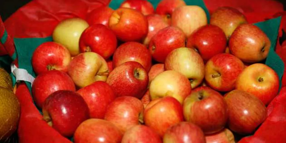 Festa terá venda de maçãs e vários produtos derivados da fruta