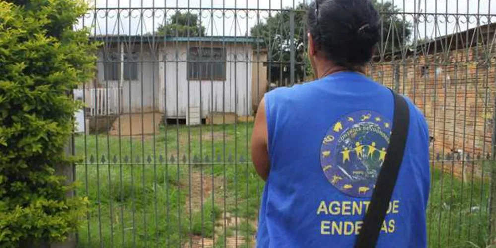 Chegada do calor e chuvas exigem mais cuidados do terrenos