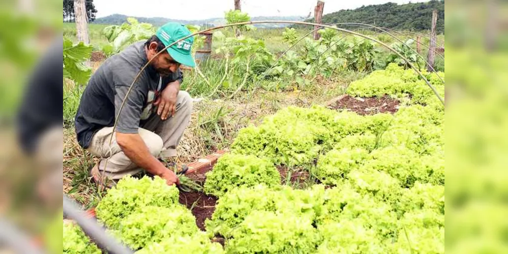 Imagem ilustrativa da imagem Governo muda regras para empréstimo a agricultores familiares