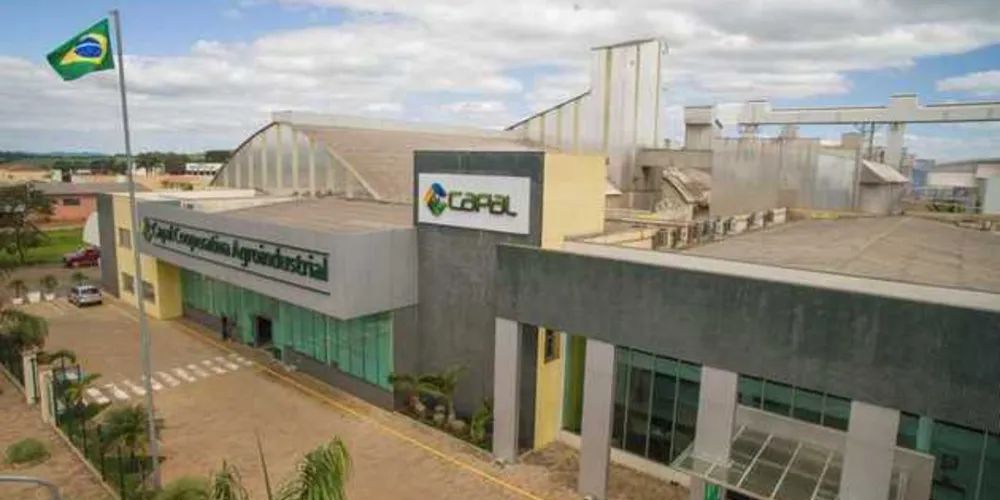 Imagem ilustrativa da imagem Cooperativa Capal realiza Dias de Campo
