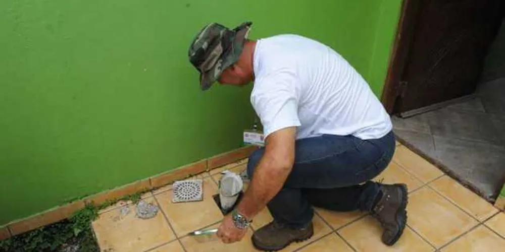 As constantes chuvas ocorridas no Paraná nas últimas semanas aliadas às temperaturas elevadas exigem mais cuidado com o Aedes aegypti.