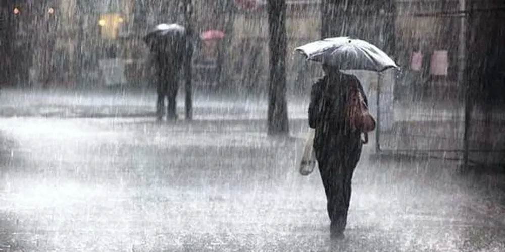 Imagem ilustrativa da imagem Defesa Civil alerta para chuva volumosa em PR e SC