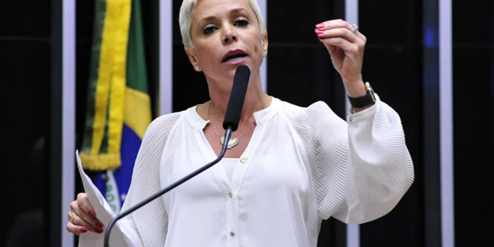 Deputada federal assumiria hoje Ministério do Trabalho antes da decisão do STF