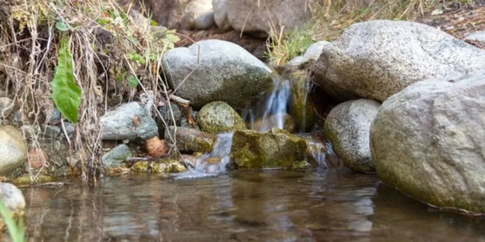 A "água crua" é retirada de fontes naturais/Foto: Reprodução Getty Images