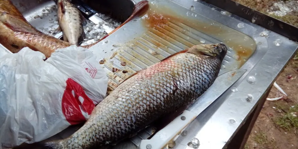 Pesca é proibida durante a piracema e duas pessoas foram presas neste domingo