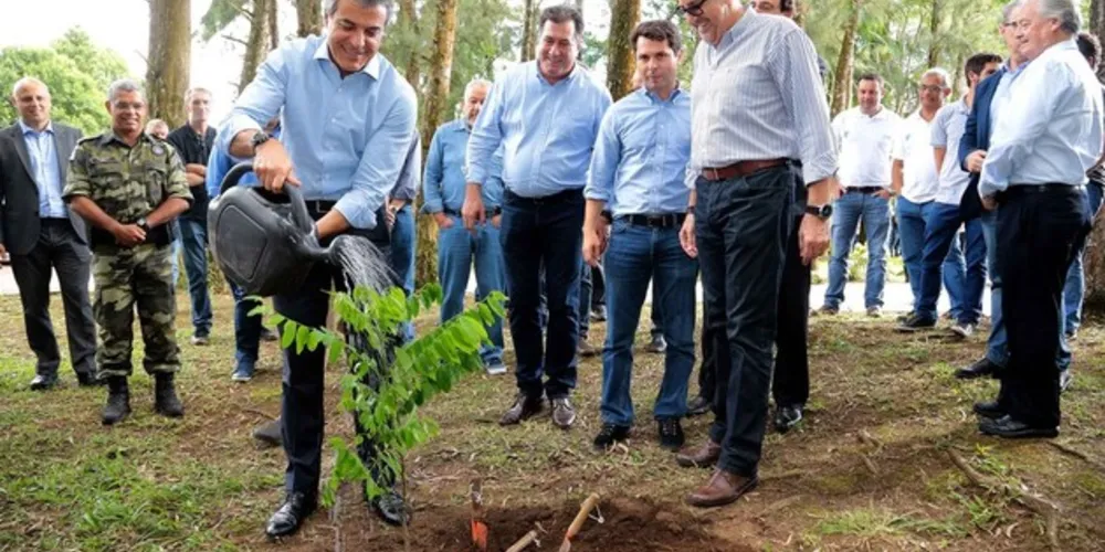O governador Beto Richa lançou nesta quarta-feira (31) a campanha “Plante Árvores”/Foto: Divulgação Jaelson Lucas