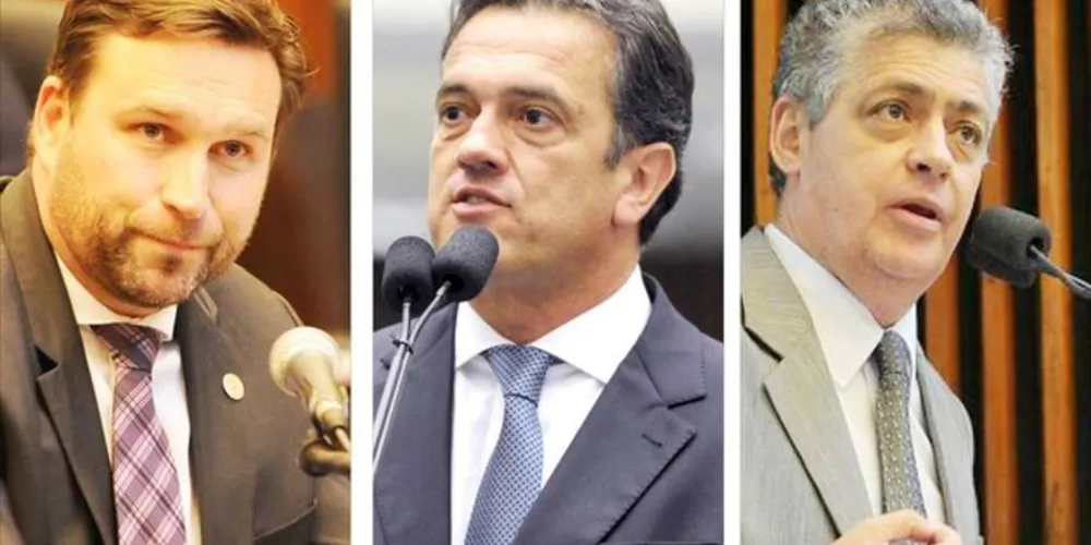 Imagem ilustrativa da imagem Deputados de PG traçam objetivos para 2018