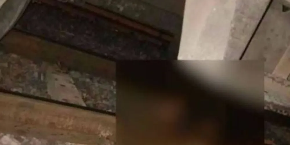 Ela chegou a ser levada para o hospital Ramathibodi, mas não resistiu/Foto: Reprodução Twitter