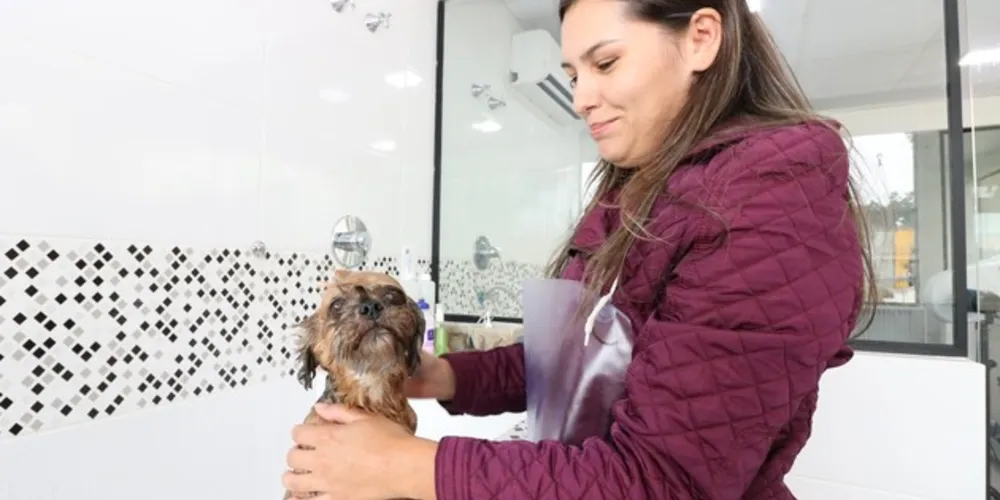 Com menor custo que o ‘banho e tosa’ normal, o 'Pet Wash' é opção para higiene de cães e gatos.