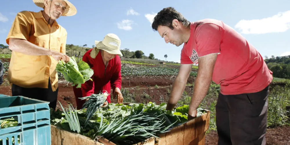 Imagem ilustrativa da imagem Agricultores familiares da região serão beneficiados