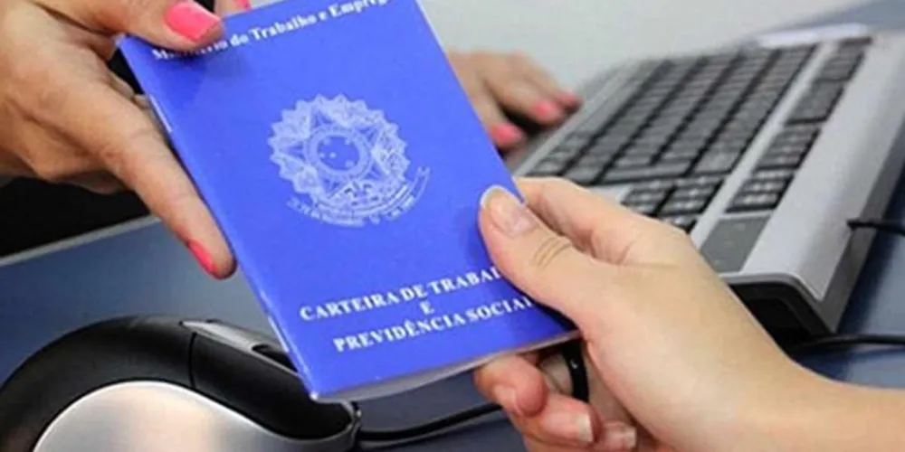O Paraná liderou a geração de vagas do setor no País./Foto: Reprodução 