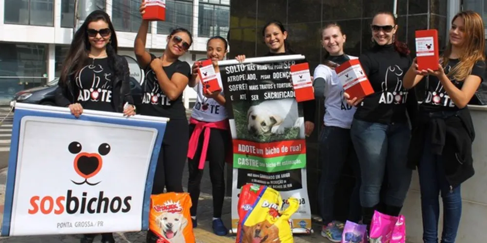 Imagem ilustrativa da imagem ONG promove ‘blitz beneficente’ em prol de animais