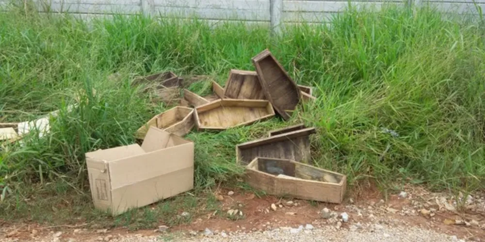 As urnas funerárias – todos para bebês e criancinhas – foram abandonados provavelmente na madrugada de domingo