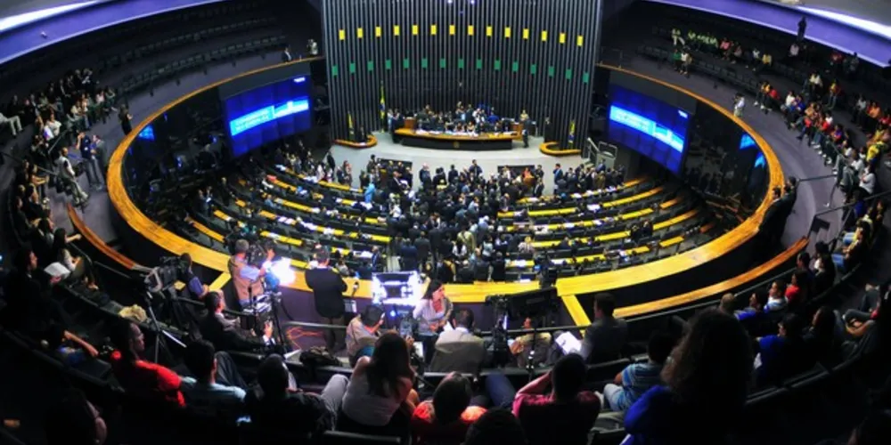 Rodrigo Maia, que é deputado pelo Rio de Janeiro, fez um apelo aos colegas para que aprovassem a medida/Foto: Divulgação EBC