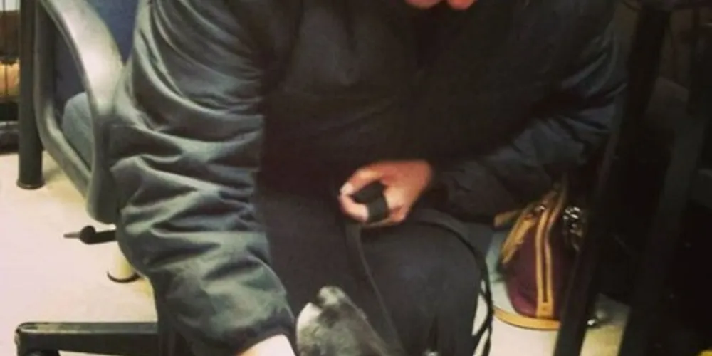  A cachorra estava saudável e bem cuidada/Foto: Reprodução/Instagram animalprotectorsshelter 