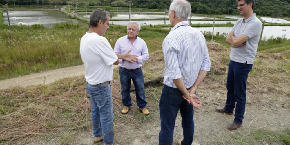 Imagem ilustrativa da imagem Secretaria de Agricultura busca incentivo à piscicultura