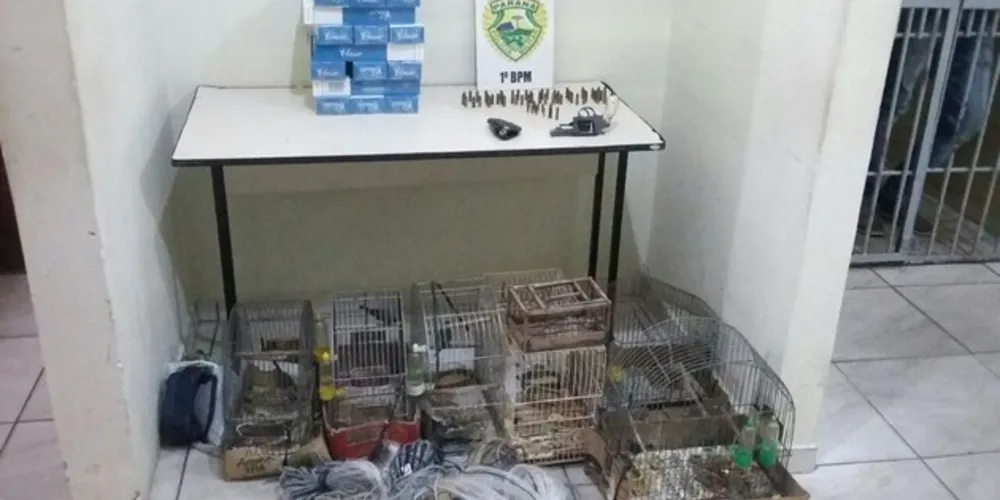 Aves foram levadas ao IAP para passarem por avaliação veterinária