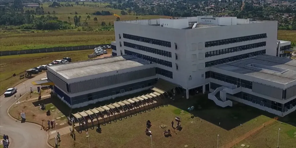 Imagem ilustrativa da imagem Dados da OMS reforçam importância do Instituto do Câncer