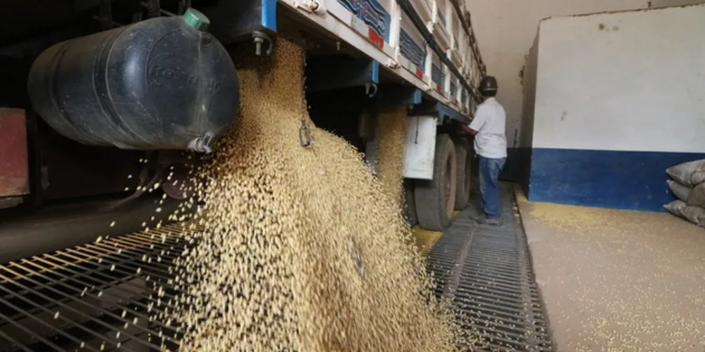 Imagem ilustrativa da imagem Complexo soja de PG exporta R$ 3,14 bilhões em produtos