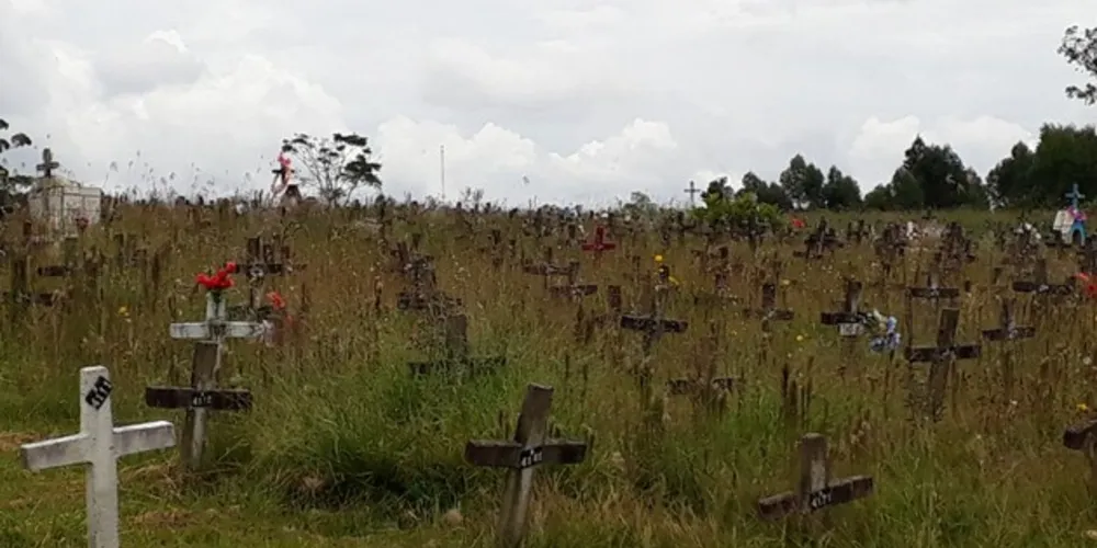 O mato toma conta das sepulturas e a falta de manutenção inviabiliza as visitas