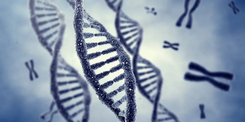 80% das doenças raras são de origem genética", afirma geneticista/Foto: Reprodução 