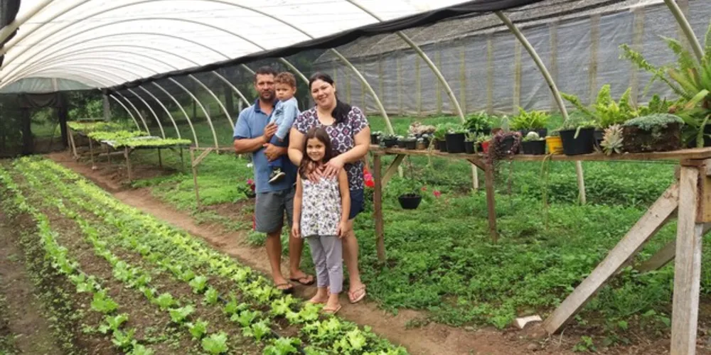 Imagem ilustrativa da imagem Cultivo em estufa melhora produção de pequenos agricultores