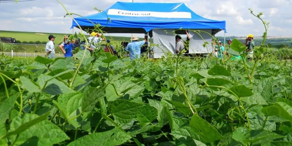 Imagem ilustrativa da imagem Emater apresenta tecnologia ao pequeno produtor em semana de campo