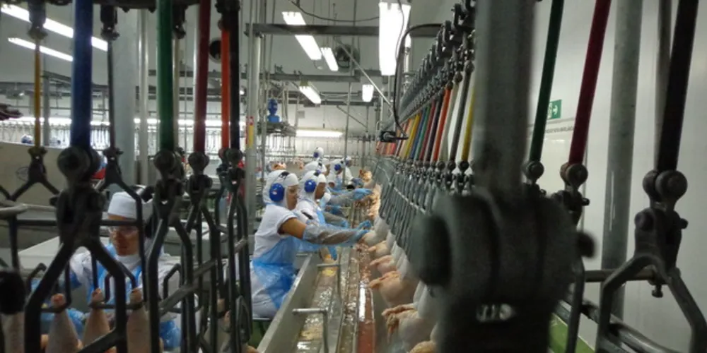 Empresa foi notificada e terá 30 dias para providenciar uma série de melhorias