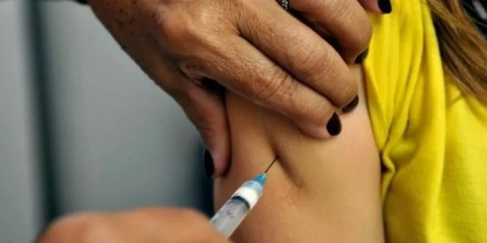 O Brasil confirmou 920 casos e 300 mortes no período de 1º julho de 2017 a 13 de março deste ano/Foto: Reprodução