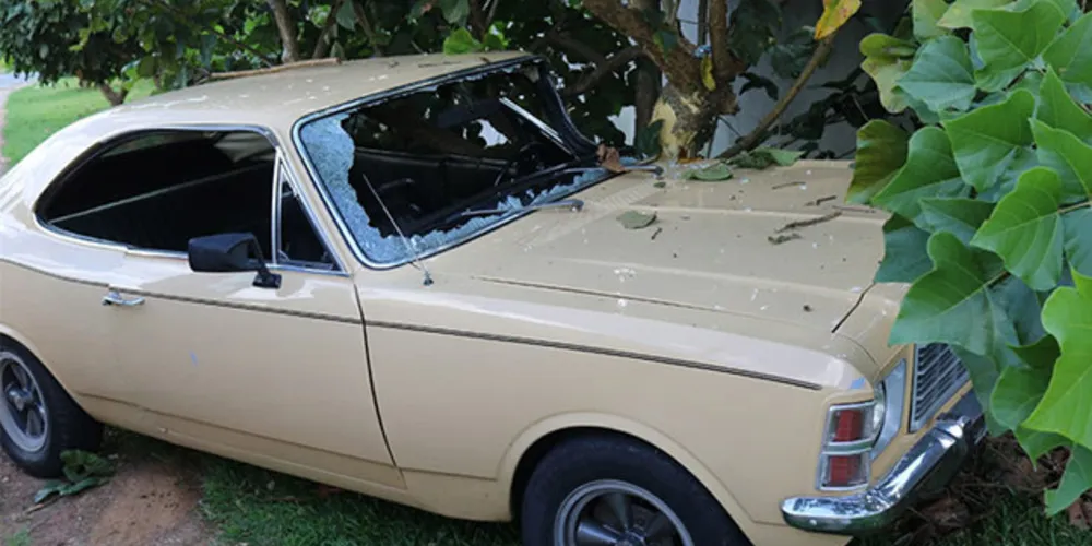 Imagem ilustrativa da imagem Motorista bate Opala contra árvore e fica ferido