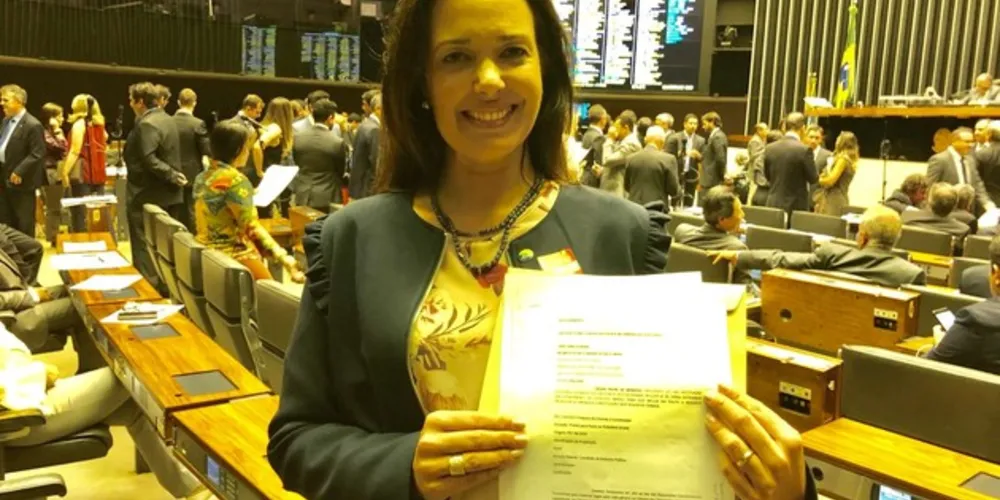 Imagem ilustrativa da imagem ONG de PG busca maior presença da mulher no Legislativo