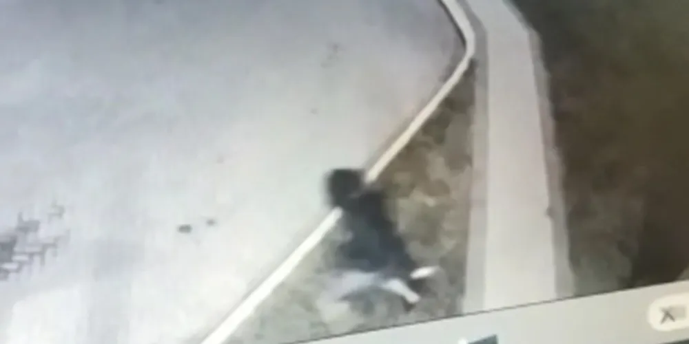 Imagens de câmeras de segurança mostram homem descendo de carro para matar ex-PM