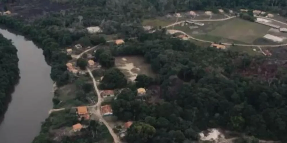 A ideia é que o equipamento faça o registro dos sons da floresta /Foto: Reprodução CanalTech