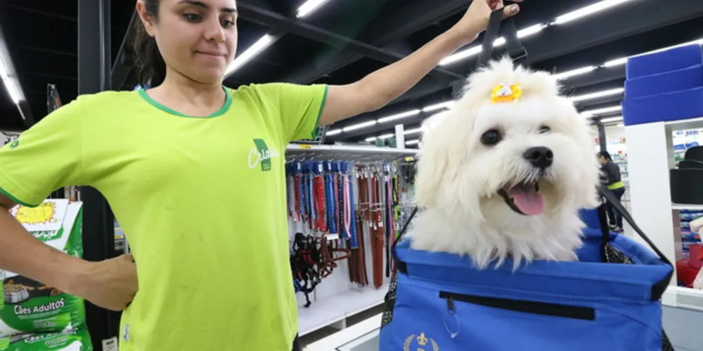 Animais devem ser transportados com segurança para evitar acidentes