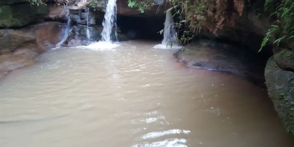 As imagens são da página Atento a Rede 
