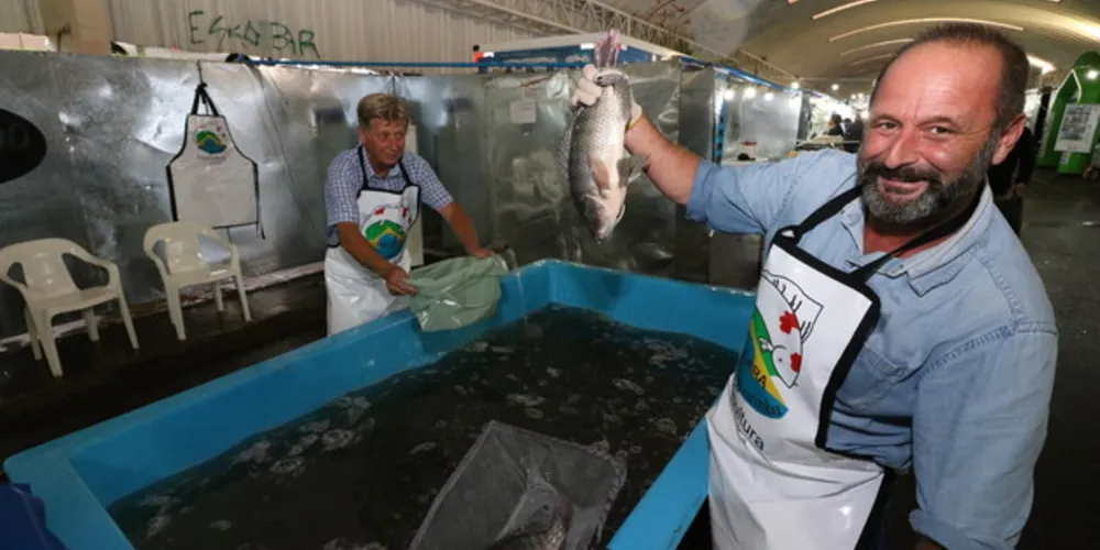 Imagem ilustrativa da imagem Feira do Peixe de Ponta Grossa termina nesta sexta-feira
