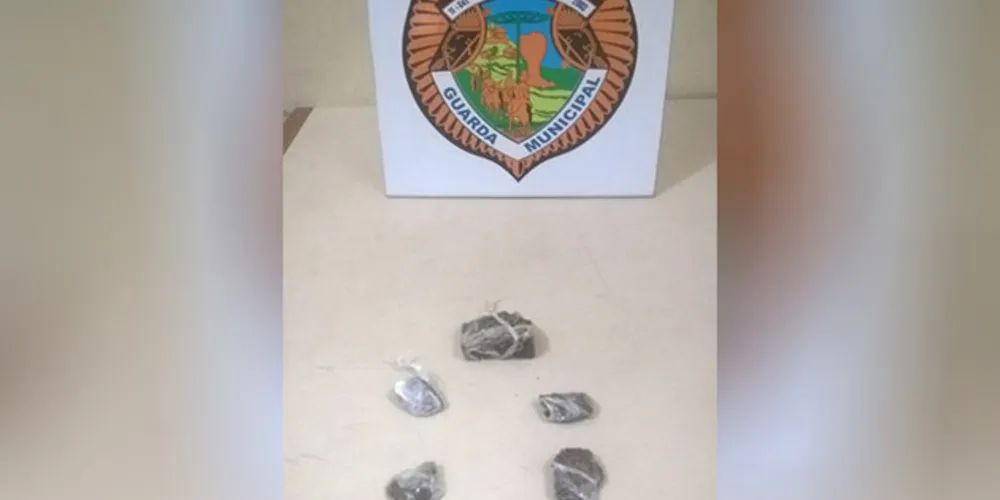 No total, droga apreendida com o rapaz pesou 25 gramas