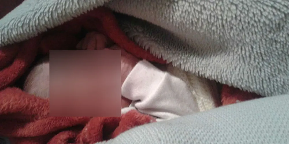 Bebê estava em caixa de sapato e ainda com o cordão umibilical