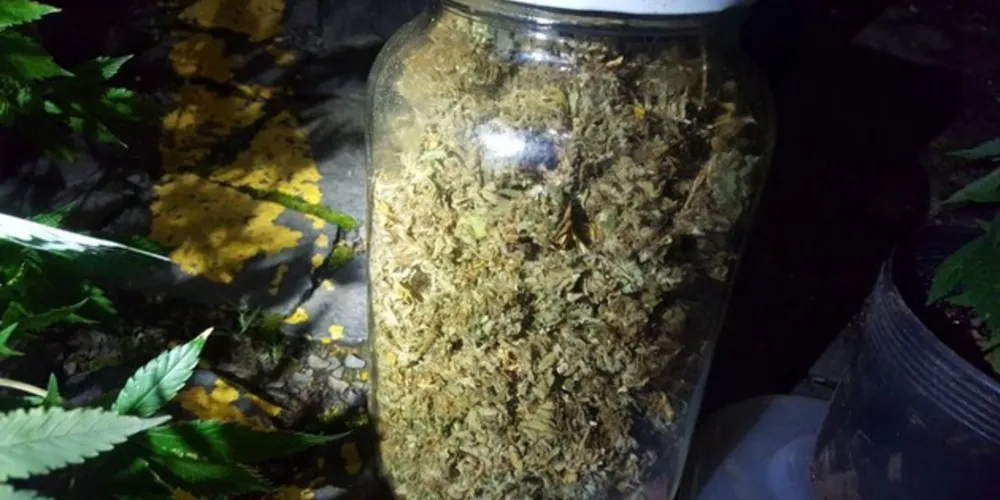 Imagem ilustrativa da imagem MP denuncia professor por tráfico de drogas