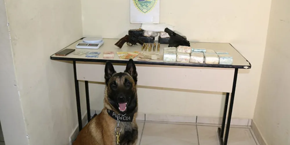 Cadela Glock ajudou policiais a encontrarem quase cinco quilos de drogas