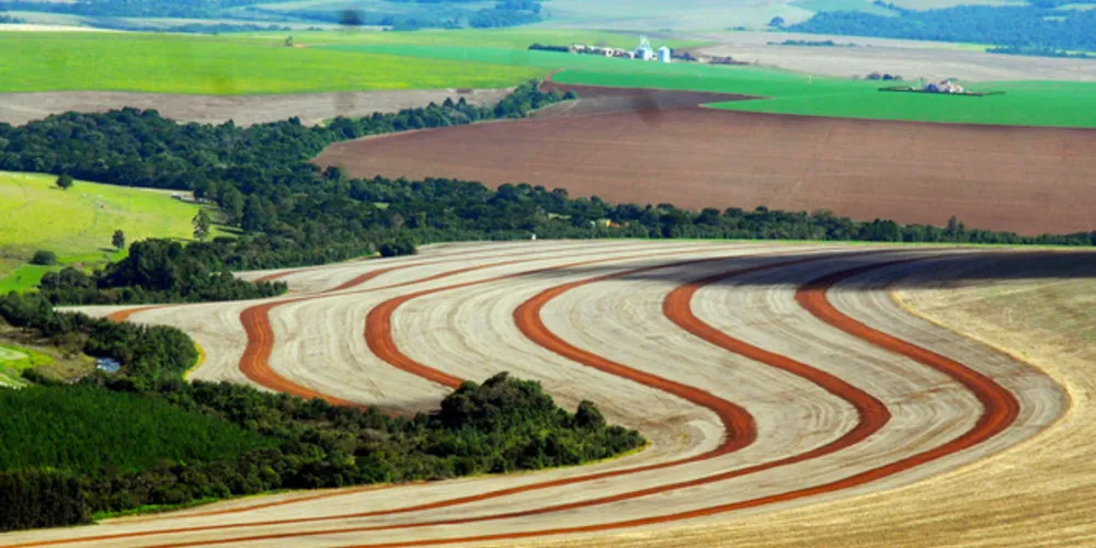 Imagem ilustrativa da imagem PIB do Paraná atinge R$ 415,8 bilhões em 2017