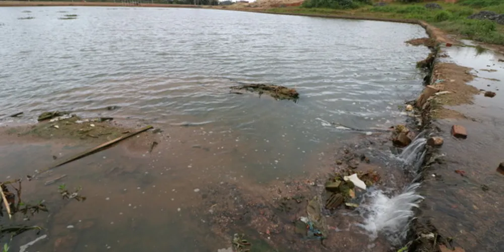 Arroios que abastecem Lago de Olarias são alvos de fiscalizações da Sanepar e Prefeitura. UEPG vai analisar água