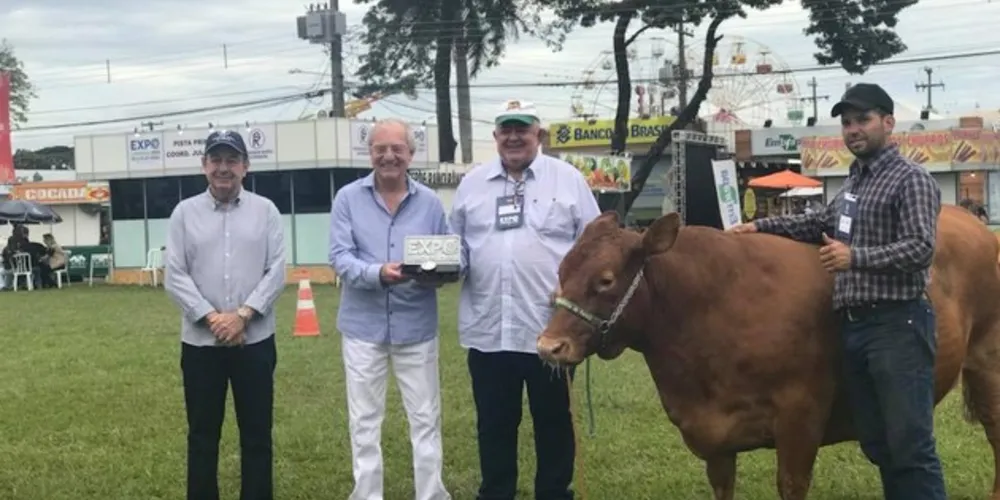 Imagem ilustrativa da imagem Cescage e raça Purunã são homenageados na ExpoLondrina