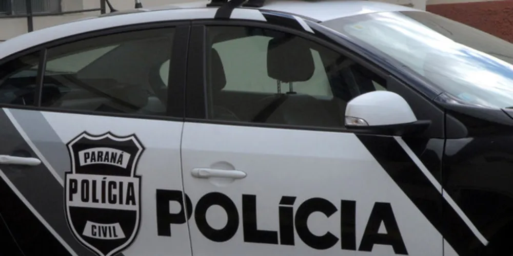 A Delegacia de Estelionato, da Polícia Civil do Paraná, preparou uma série de dicas de segurança