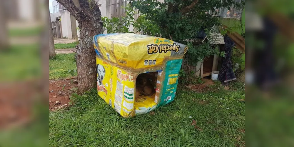 Casa de tamanho médio é feita com cerca de 150 caixinhas
