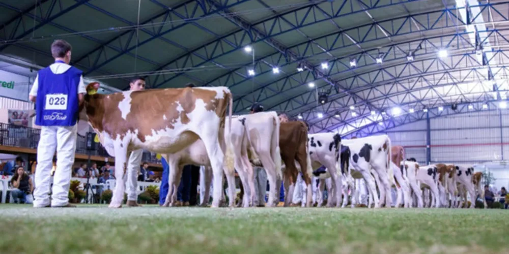 Competidores entre 8 e 21 anos participaram da Copa dos Apresentadores