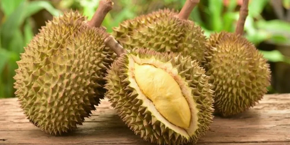 Alunos confundiram o cheiro da fruta com gás/Foto: Reprodução Shutterstock 